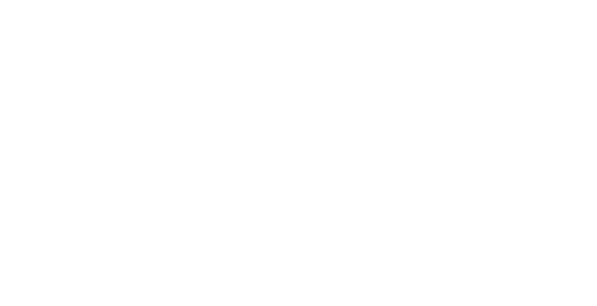 Brains Minds & Machines